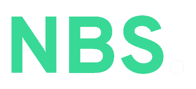 nibhanbinsaleemseo-logo-white