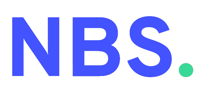 nibhanbinsaleemseo-logo