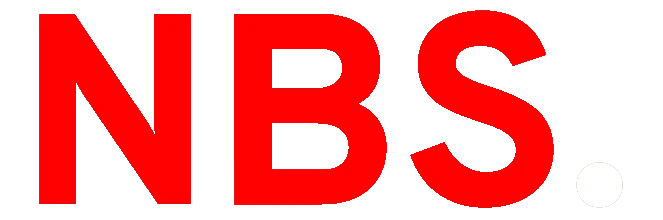 nibhanbinsaleemseo-logo